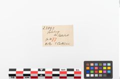 Etiketten zu Perlenkette (NHMW-PRAE-023892)